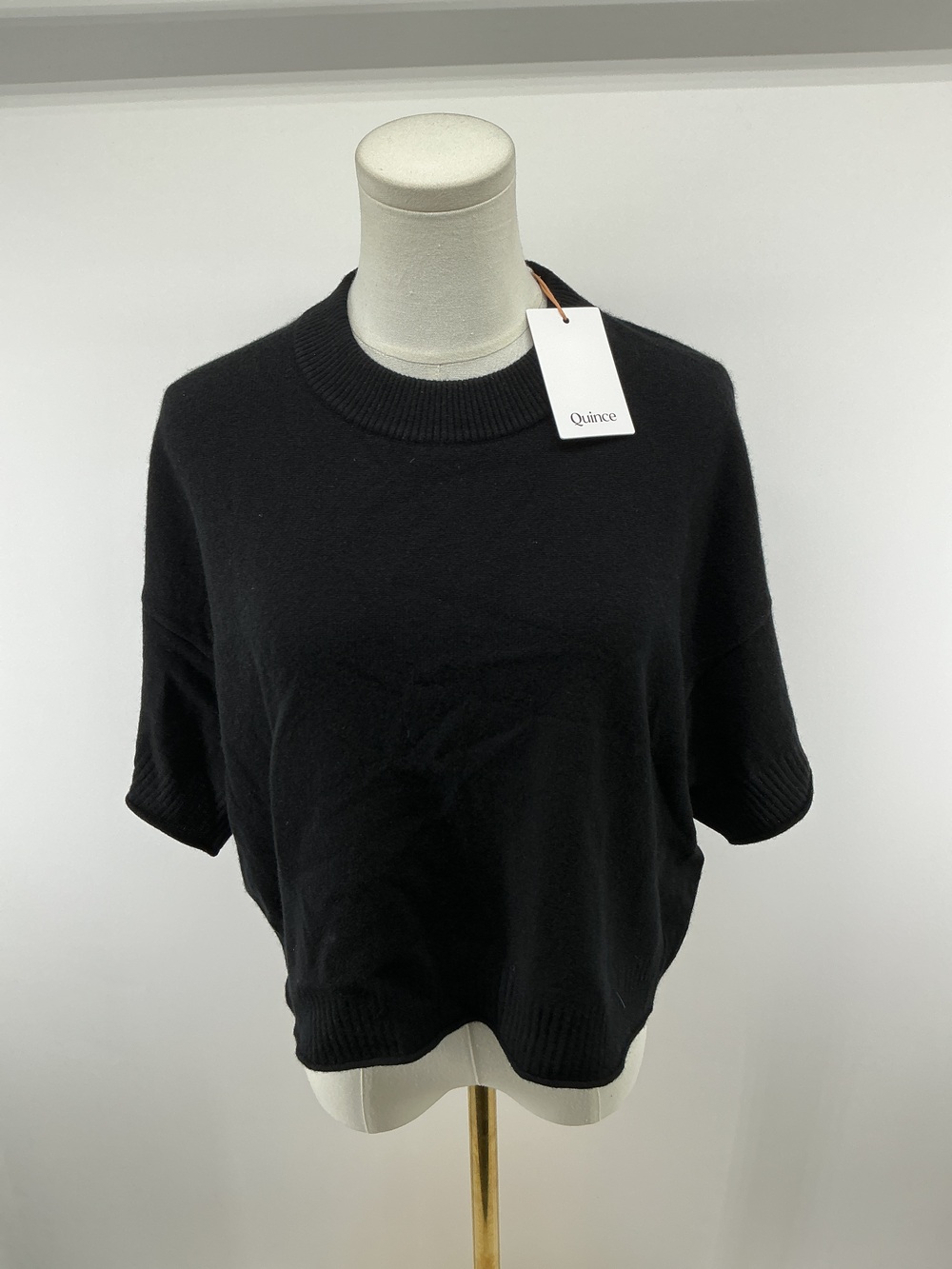 Mongolian Cashmere Cropped Oversized Tee
